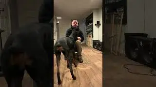 Sadie, what to do when she doesn&rsquo;t do what you want her to do