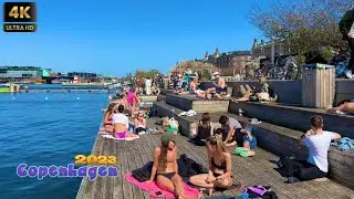 Islands Brygge Harbour Beach, Waterfront Copenhagen Denmark, 22 April 2023/ 4K Walking Tour #Sunbath