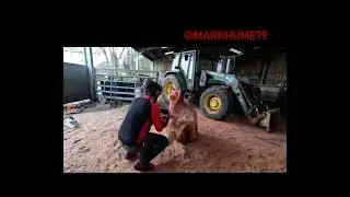 @markhume79 chainsaw art