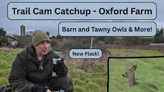 Trail Cam Catch  Up -  Barn and Tawny Owl, Buzzard, Kestrel and Roe Deer!