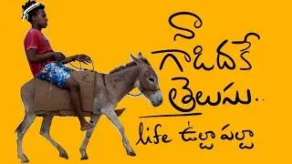 Ask my assss .. నా గాడిద మహా జ్ఞాని .. Naveen + risa