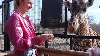 Rolling Hills Zoo &bull; Match Madness 2024