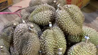 MAS DUREN sedang live sekarang!