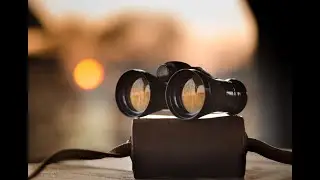 Searching for Your First Job in Occ Psych