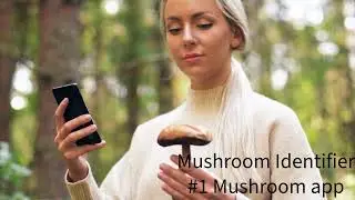 Mushroom ID 001