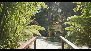 A Tour of Nyingma Institute
