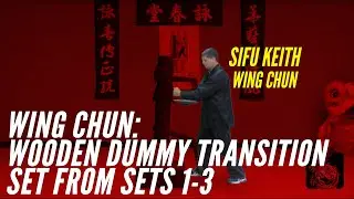 Wing Chun: Wooden Dummy Transition Set From Sets 1-3