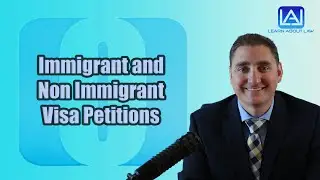 Immigrant and Non Immigrant Visa Petitions