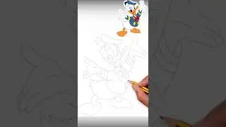Draw Donald Duck | Disney