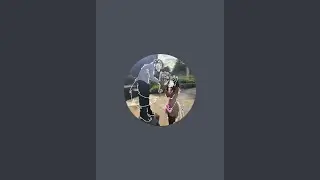 ☀Spriget is live!☀ (hanging out and yes)