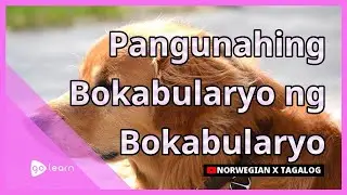 Pangunahing Bokabularyo ng Bokabularyo | Golearn
