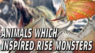 Monster Hunter Lore | Real Life Inspirations of Rise Monsters Part 1