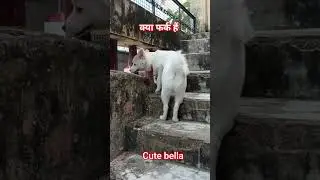 क्या फर्क है #sentimental #sentimentalsounds #shortvideos #cute