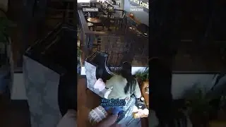 Video shows New Jersey coffee shop patrons reacting to the earthquake