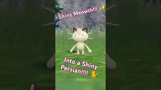 Shiny Persian for the Kanto shiny dex!!! #shinypokemon #pokemon