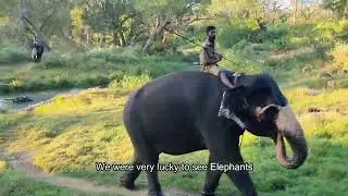 BANDIPUR TIGER RESERVE || Ticket Prices, Timings || Ooty || South India Series Episode-3