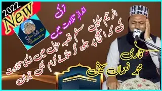 Best voice tilawat | Qari Muhammad Nouman Saifi | Al Raheem School | Qasba @QMP786