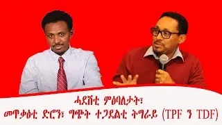 ሓደሽቲ ምዕባለታት፣ መጥቃዕቲ ድሮን፣ ግጭት ተጋደልቲ ትግራይ (TPF ን TDF)