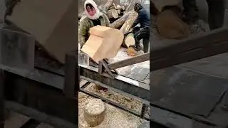 splitting a big wood log using a wood splitting machine to make several wood pieces for furniture