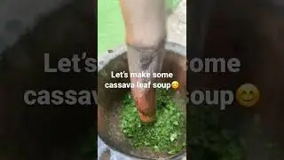 Fresh cassava leaf