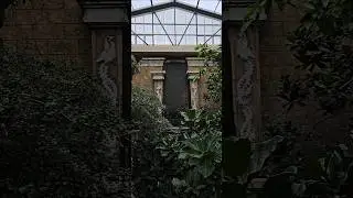 Checking out the bird kingdom