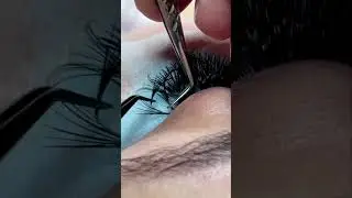 Outgrown Lash Removal 🤤🤤🤤