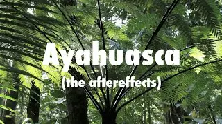 Ayahuasca: The Aftereffects | Spirituality | Meditation