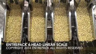 EntrePack 4-Head Linear Scale