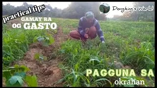 Walay HERBICIDE mano - mano tag guna sa OKRAHAN | BUHAYPROBINSYA | dongkingsworld