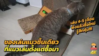 ของเล่นแมวชิ้นเดียวที่ซื้อแล้วแมวเล่น L-Shape Cat Scratcher