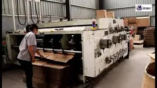 Chain drive feeding flexo printing machine with slotter