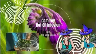 Making a Comfrey Hot oil Infusion for Sprains and Bruises