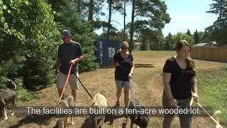 Backcountry K9 Kennel