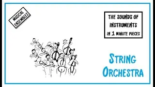 The String Orchestra (The Sounds of musical Instruments [or Ensembles], in 1 min. pieces)