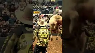 19H Man Hater (Gene Owen) turns in a huge 46.50 point bull score in St Louis!