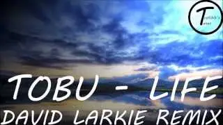 Tobu - Life | David Larkie Remix
