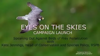 Eyes on the Skies launch - Speaking Out Against Birds of Prey Persecution