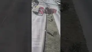 WTF... Run for your life #crash #unexpected #cams
