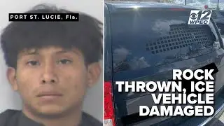 Son of arrestee allegedly shatters ICE vehicle window with rock during operation in Florida