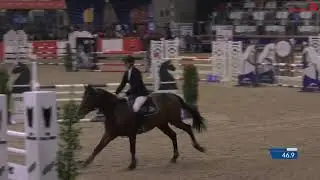 Rockit-K van 't Kattenheye - Lannoo Belgian Stallion Competition 2022