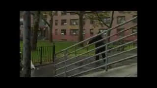 Young P.A. & Lord Action 