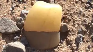Ettringite stone price and information