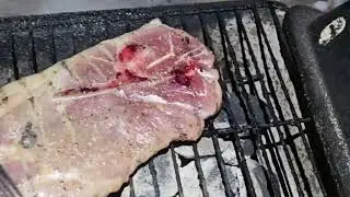 The Hi-Tech Gourmet Rubber Tramps grilling on 12/23/25