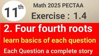 Exercise 1.4 question 2 math 11 PECTAA || four fourth roots || waseem academy 