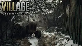 Abandoned Village Path | Creaking Metal | Resident Evil Village Ambience 🎧