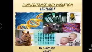 12th Biology Chapter 3 : Inheritance and Variation Unit 3.4 : Back cross and Test cross