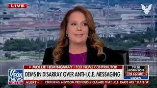 Hemingway: Attacking Popular Immigration Enforcement Is Not A Winning Move For Dems