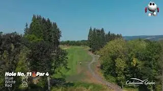 Strategic Challenge! | Mastering Hole 11 at Chehalem Glen Golf Course, Oregon