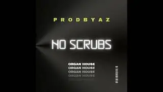No Scrubs Organ House