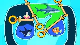 save the fish/pull the pin updated level save fish game pull the pin android & mobile game stage 21